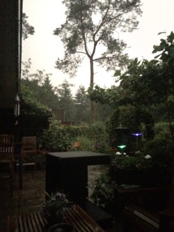 Venus-Luna:  I Managed To Take A Picture During A Lightning Strike Tonight! It Was