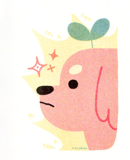 riso doggo! (shop reopening in 5 days!!)