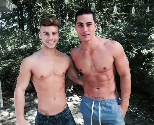 no homo