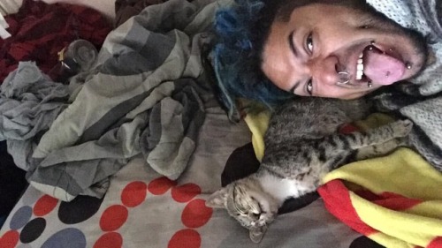 Photo bomb!! 🤪   #newpet #newcat #newkitten #cat #kitten #catlover #meetmyprideandjoy #ozzy #photobombed #photobomb #caughtslippin