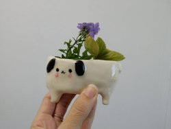 littlealienproducts:    Porcelain pup by 