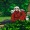 myprincessyasha-deactivated2020:Yashahime theory:Moroha is just playing pretend with