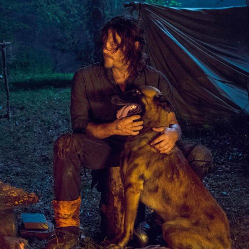 For the love of Dog… or Daryl… or both. lol