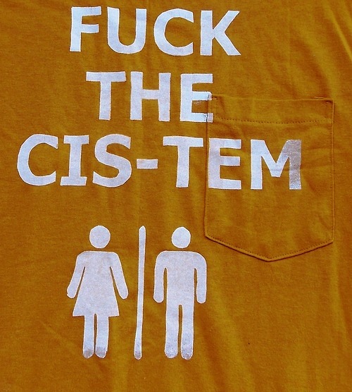 queernonywolf:  tortillapower:  Fuck The Cis-Tem Tshirts!http://www.etsy.com/shop/TortillaPower  o. m. g 