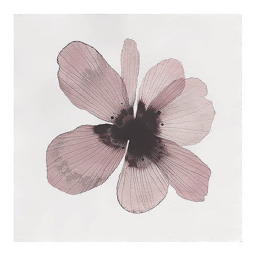 Flowering Soul Like & Don't Repost. Cr