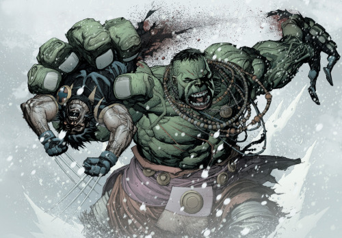 ULTIMATE WOLVERINE VS. HULK