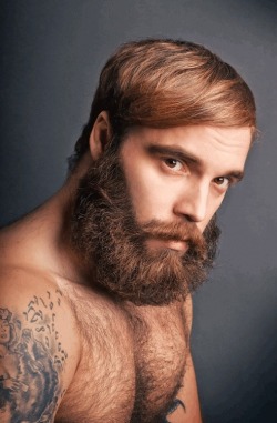 furmazing:  amansmane:  A Man’s Mane! #beards