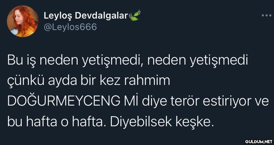 Leyloş Devdalgalar...