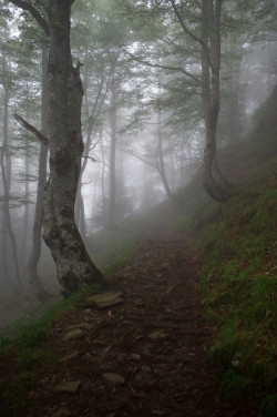 wowtastic-nature:  Vallée De la Glère 2