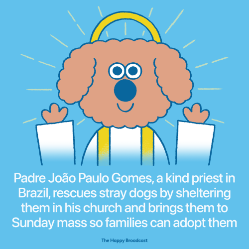 In the city of Gravatá in Brazil, there are many stray dogs in need of a forever home. So, a priest 
