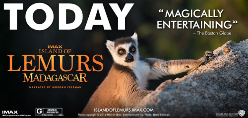 “A real place you could never imagine. Strange creatures you will never forget” Island of Lemurs: Ma