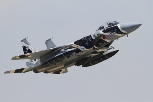 rocketumbl:  F-15DJ 