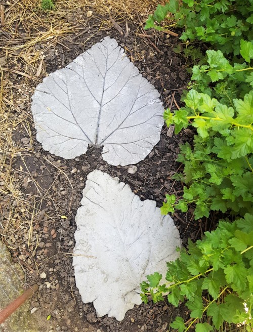 A little reminder for my future self or anyone who plans on making leaf stepping stones: you pour th