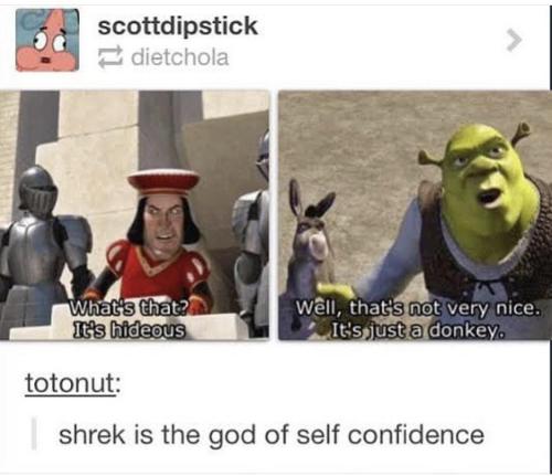 srsfunny:Confidence goals Level Shrek