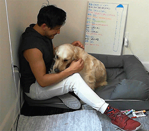 dogiplier:  SUCH A GOOD GIRL