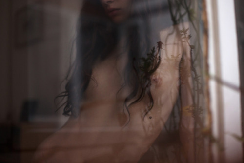 mrchill:Erminia, jungle © Chilltumblr · portfolio · facebook