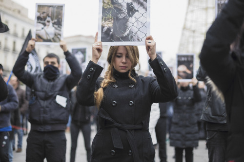 Cada año, con motivo del día de los derechos animales, Igualdad Animal/Animal Equality convoca en di