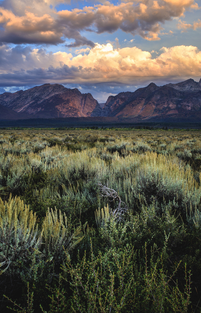 about-usa:  Grand Teton National Park - Wyoming - USA (von Geoff ☆ RT Ficiel ☆)