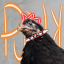 metalpunky
