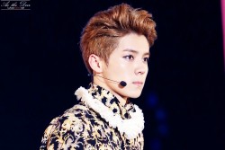 dailyexo:  Luhan - 140705 EXO from Exoplanet #1 - The Lost Planet in Chengdu Credit: As The Deer.