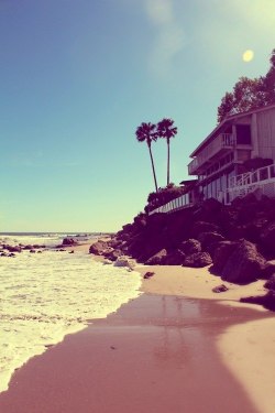 beach-rules:  If you want more summer/beach in your dash follow www.beach-rules.tumblr.com for so much more summer :) xox