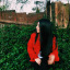 amor-sinrodeos
