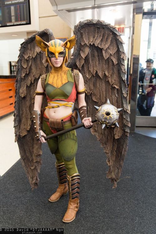 daily-superheroes:Hawkgirl Cosplaydaily-superheroes.tumblr.com/