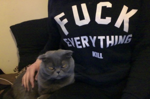 slasherflickss:  perfect cat for ppl looking to overthrow world order