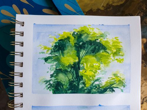 One of my favourite trees was felled. Here&rsquo;s a few sketches I had made of it. Find me