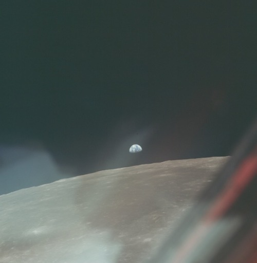 Sex wonders-of-the-cosmos:  Apollo 11 Hasselblad pictures