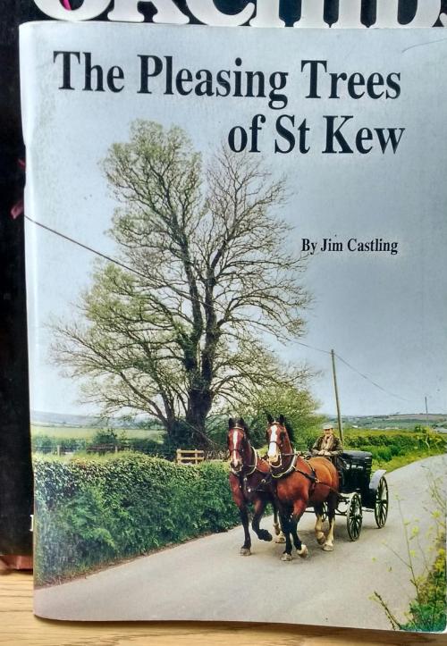 fruitycasket:shiftythrifting:  Here is a book titled “The Pleasing Trees Of St Kew” - St Kew is a civil parish area in Cornwall, in England. It’s a very pleasant book listing all the trees the author particularly likes in that area. There are quite