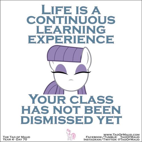 taoofmaud - The Tao of Maud -Year 4 Day 70#Week10 #Educate