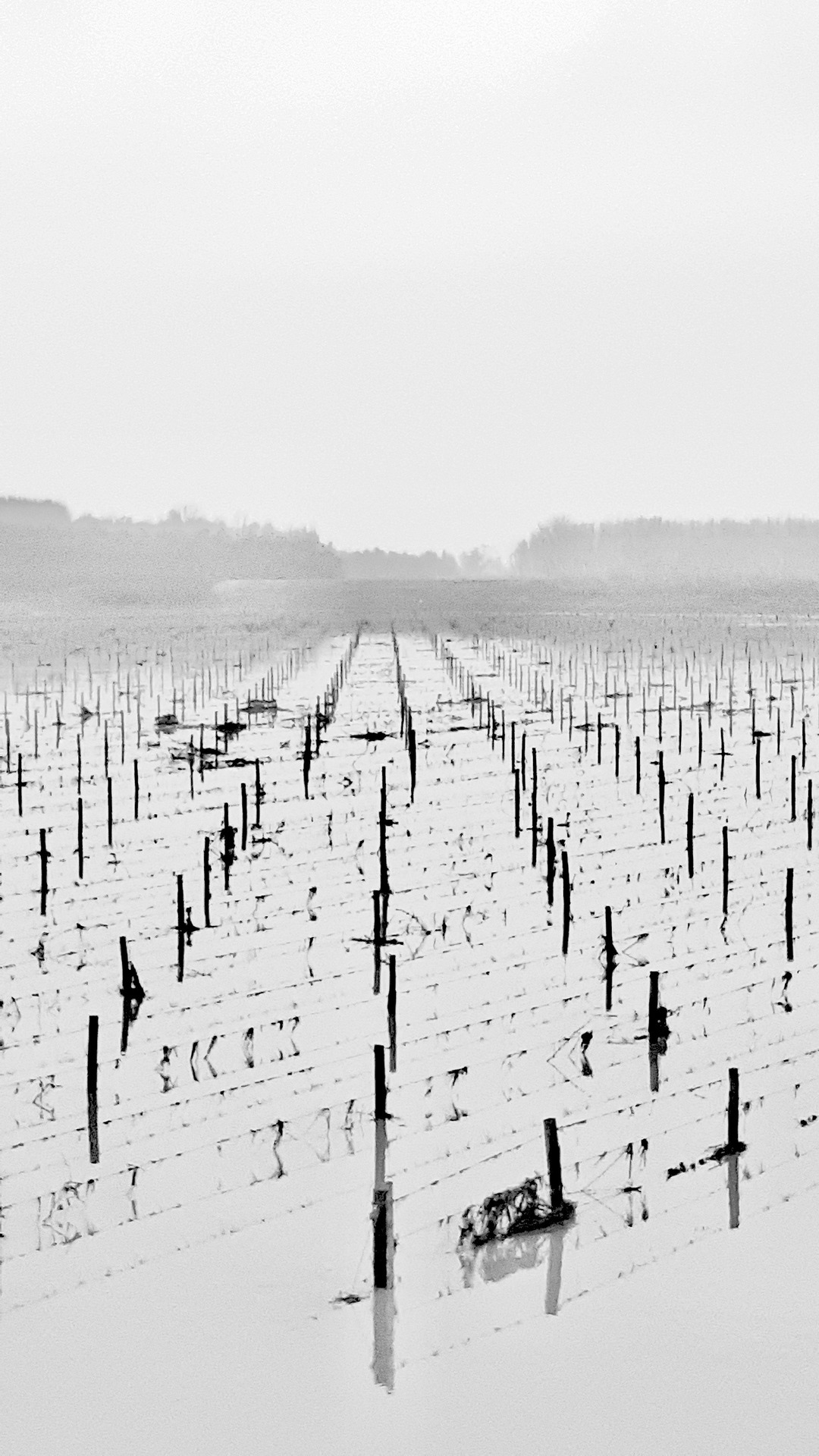 Po Valley Tumblr Gallery po-valley-tumblr-gallery