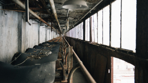 jimmy-douglas:  jimmy-douglas:  (Fall 2014) Instagram — Twitter   Some of my favorite photos that i’ve ever taken 
