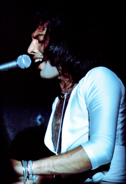 fuckyeahmercury:Live at Nippon Budokan in Japan – 1975Photos and a close-up taken by Koh HasebeScann