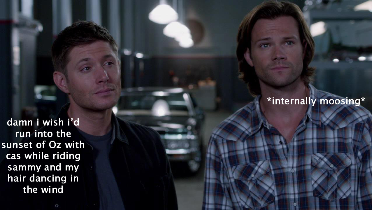 fandommember:  shadowstar13:  supernaturally-marvelous:  vanconcastiel:  Internally