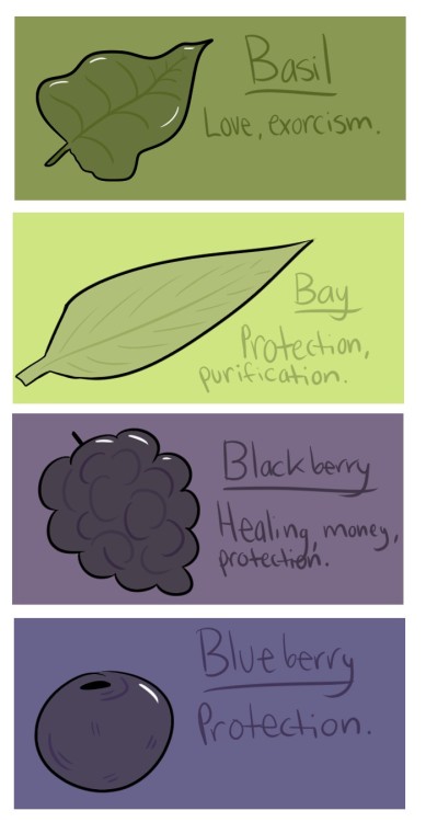 elsinore-snores: ABC’s of basic herbs and their magical uses. :)