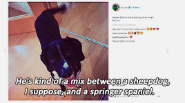 flowers-grow-in-your-heart: hozieredits:  +  