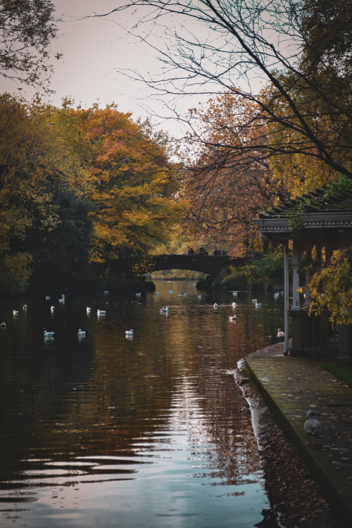 Autumn in Dublin