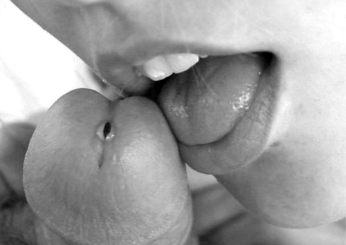 allourpassion:  Hors d'oeuvre…