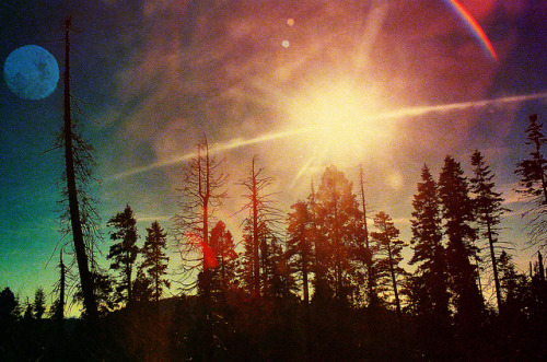  untitled by Megan Brim on Flickr 