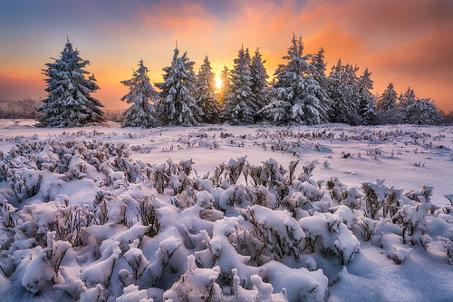 ponderation: Winter Wonderland by Alexander Lauterbach