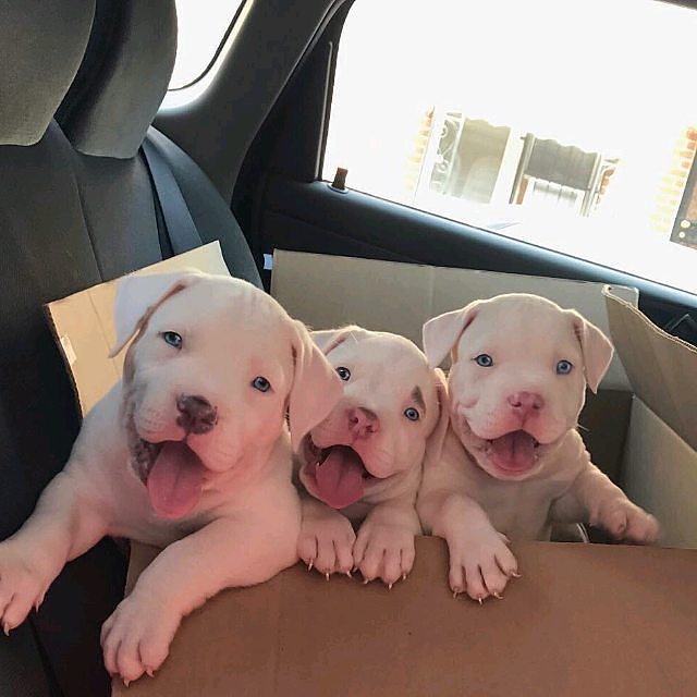 😍😍😍😍