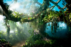 trefoiled:  The Denver Botanic Gardens, Colorado