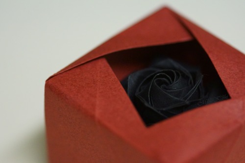 Even in darkness, there is beauty. Naomiki Sato’s hybrid rose and a box designed by Tomoko Fuse.