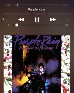 My kind of #babymakingmusic 🙏🏽👌🏽 #noTrapShit #mostHaveNoIdea #prince #purplerain #smooth by seliniangelini