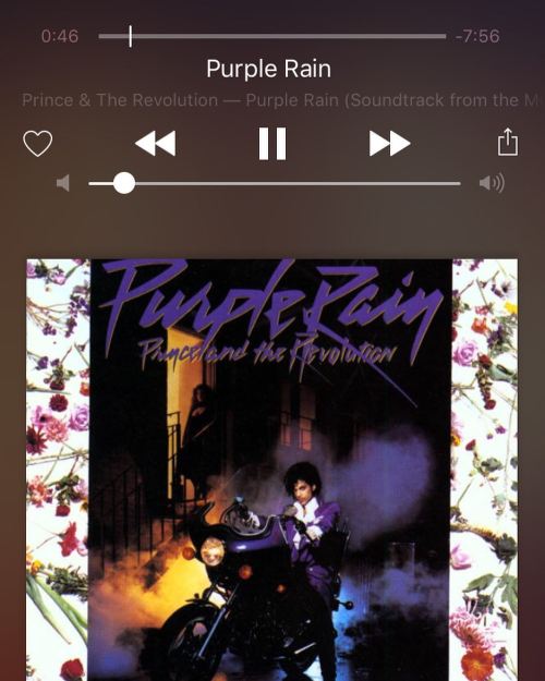 My kind of #babymakingmusic 🙏🏽👌🏽 #noTrapShit #mostHaveNoIdea #prince #purplerain #smooth by seliniangelini