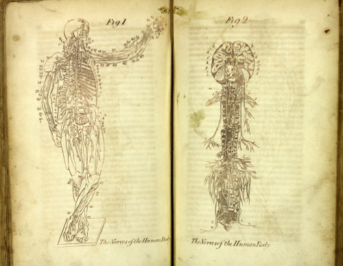 The British Herbal and family physician to which is added a dispensatory for the use of private fami