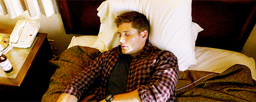 jacklesonmymind: green-circles: Sleepy!Dean Spam Sleepy!Sam [x]   always reblog