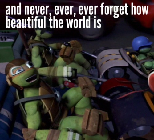 mollykittykat: 7 lessons I’ve learned from Michelangelo. Enough said :) Sorry if some of the p